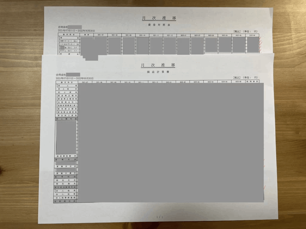 損益計算書と貸借対照表の月次推移表